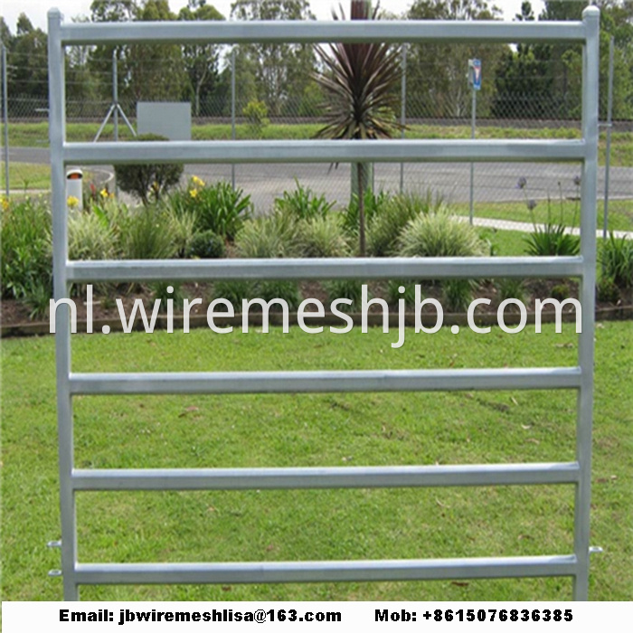 Galvanized Cattle And Horse Fence Panel